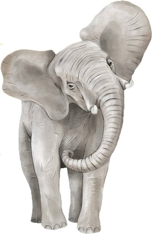 Wandtattoos - Safari Tiere