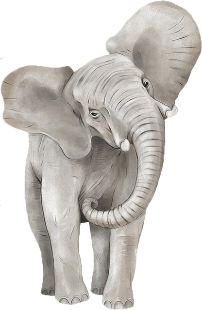 Wandtattoos - Safari Tiere