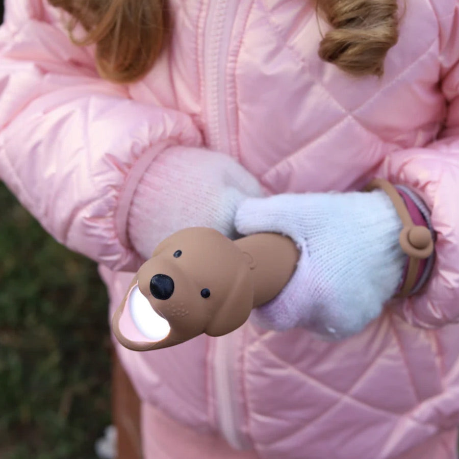 Kind hält die Taschenlampe Hund draußen und leuchtet damit
