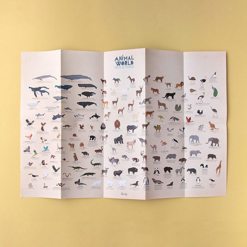 Auf der Rückseite des Posters sind noch einmal die Tiere mit der Bezeichnung zu sehen. 